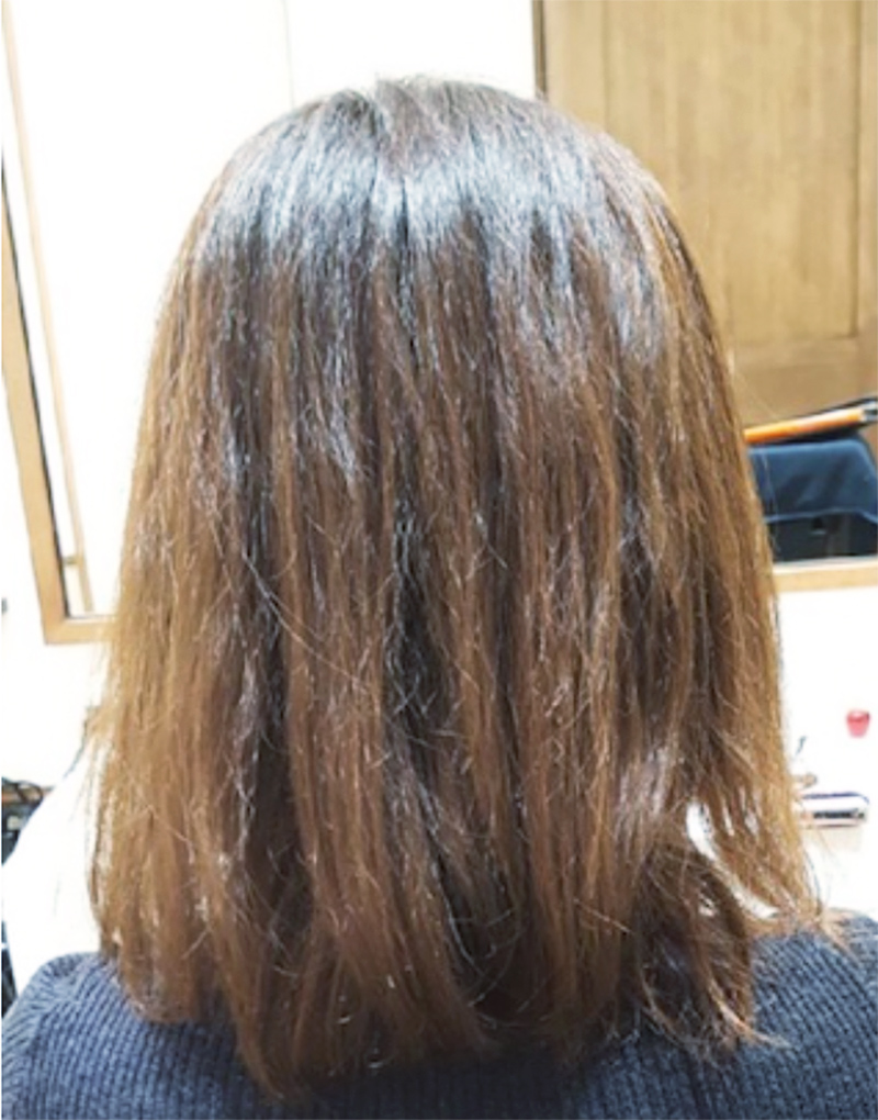 殿堂入り エメリルシャンプーの口コミ評判を徹底解説 美的blog